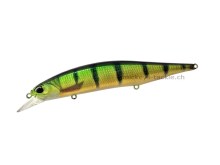 Realis Jerkbait 100SP Pike Limited - CCC3864 Yellow Perch ND